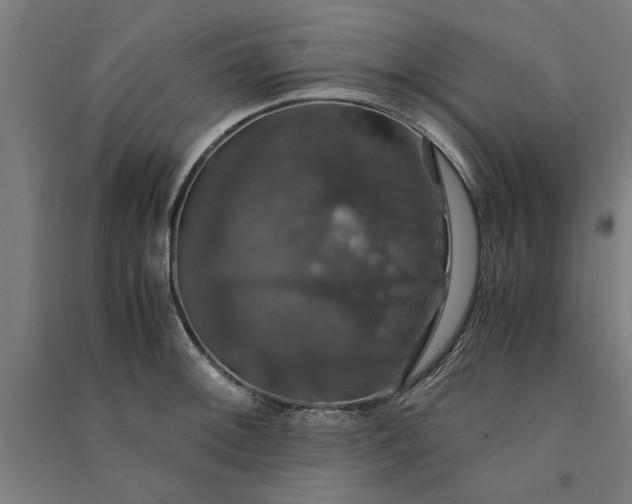 X0000091081092200708201428