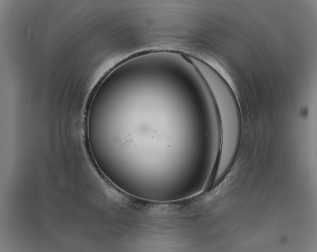 X0000091081093200708201428