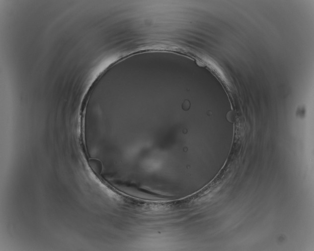 X0000091081095200708201427