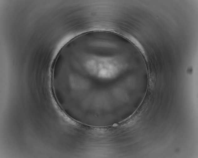 X0000091081096200708201427