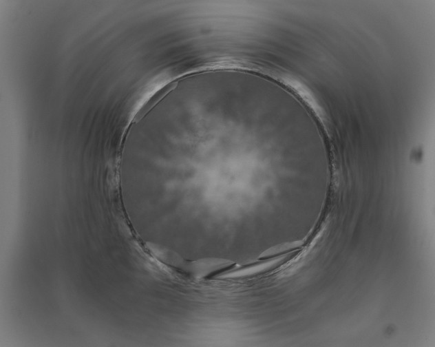 X0000091081097200708201427