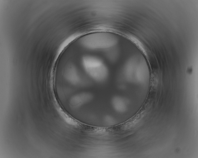 X0000091081098200708201427