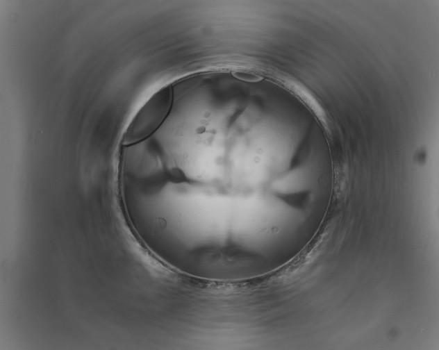 X0000091081099200708201427