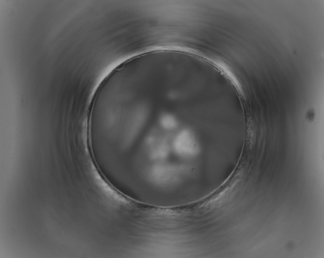 X0000091081100200708201427