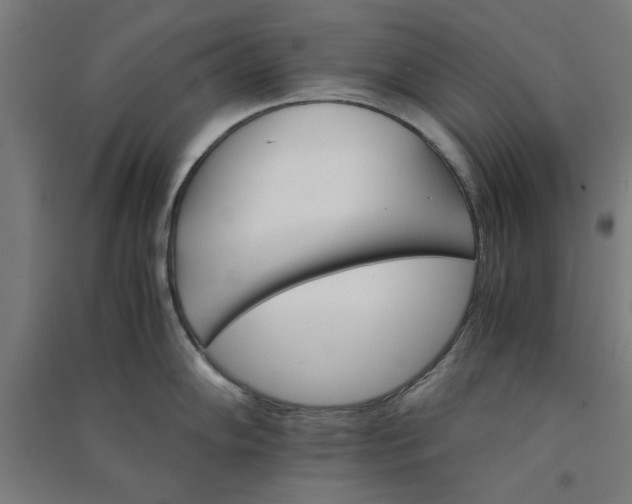 X0000091081102200708201427