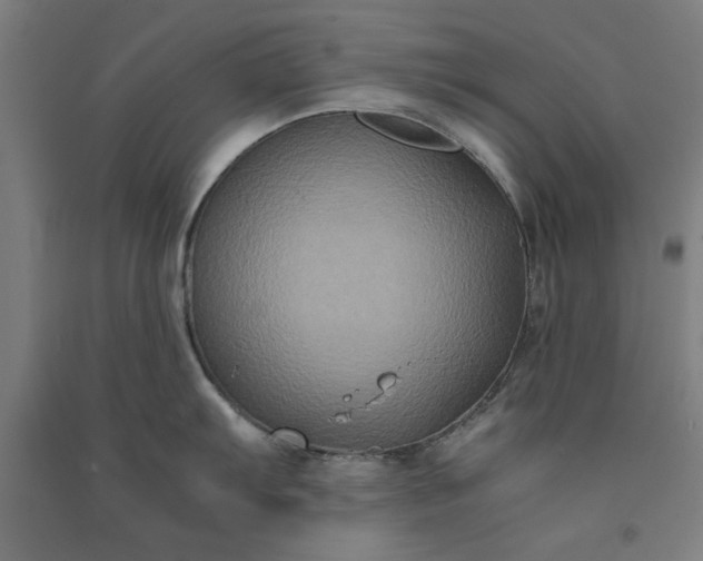 X0000091081103200708201427