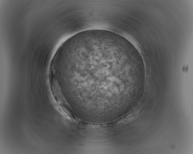 X0000091081104200708201427