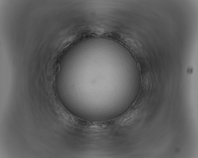 X0000091081105200708201427