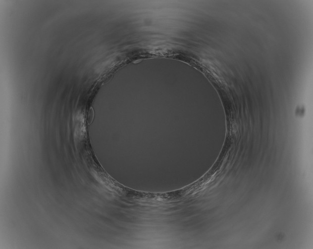 X0000091081106200708201427