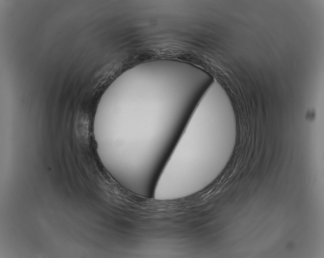 X0000091081108200708201427