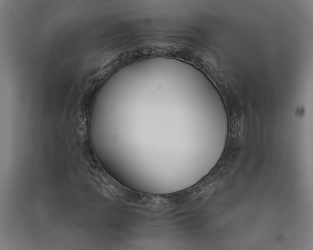 X0000091081109200708201427