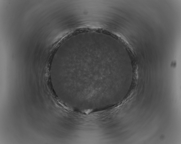 X0000091081110200708201427