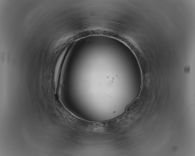 X0000091081111200708201427