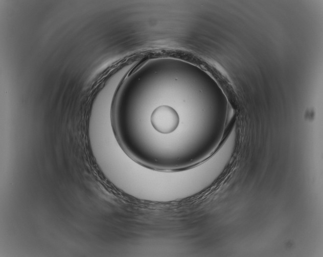 X0000091081112200708201427