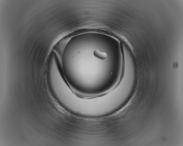 X0000091081114200708201427