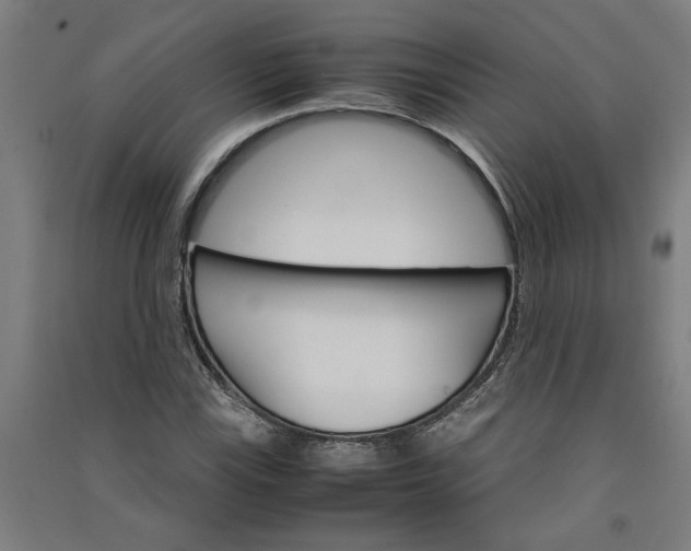 X0000091081115200708201427