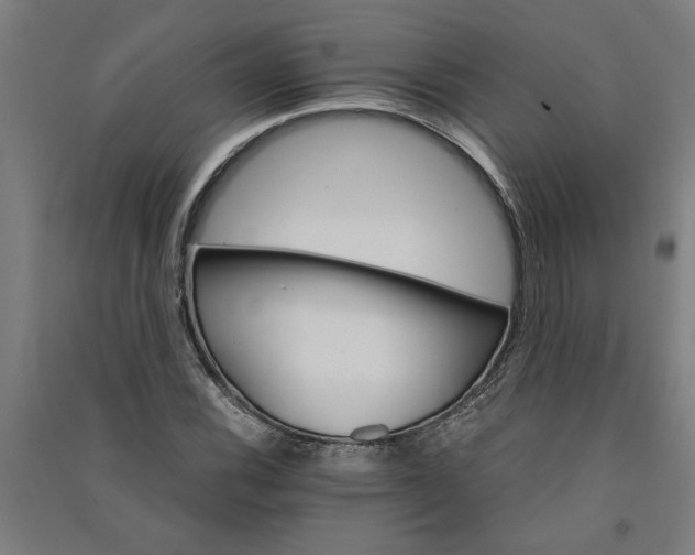 X0000091081116200708201427