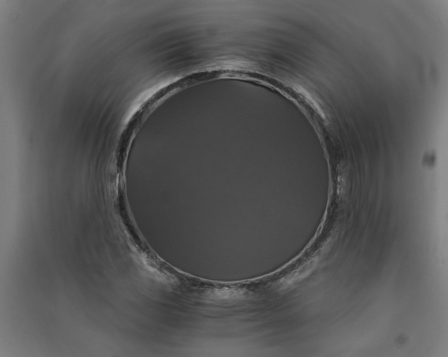 X0000091081117200708201427