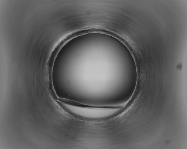 X0000091081118200708201427