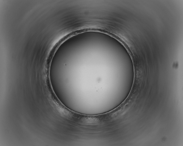 X0000091081119200708201427