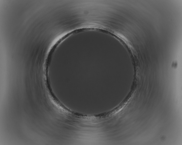 X0000091081120200708201427