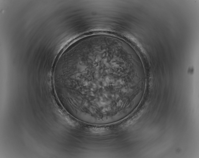 X0000091081121200708201427