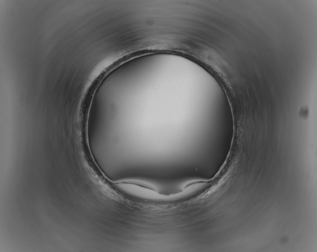 X0000091081122200708201427