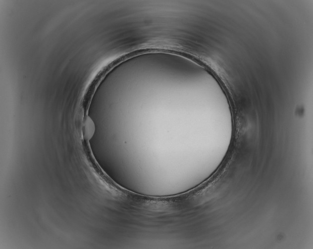 X0000091081123200708201427