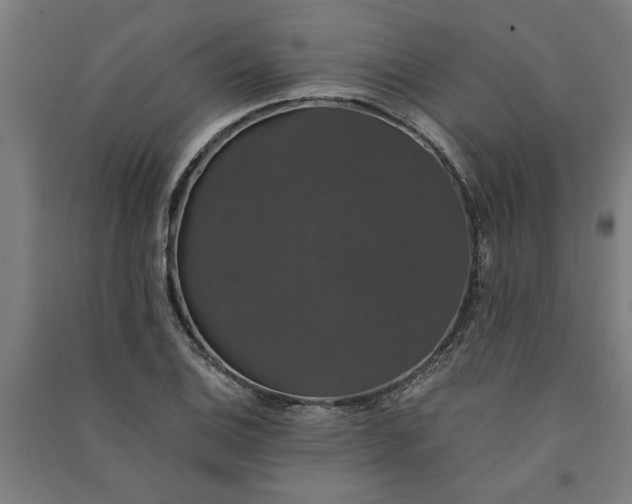 X0000091081124200708201427