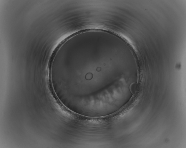 X0000091081125200708201427