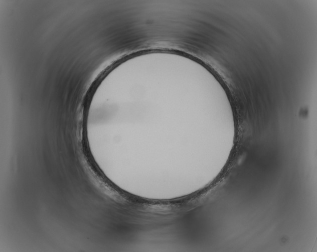 X0000091081126200708201427