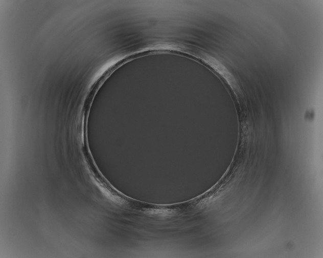 X0000091081127200708201427