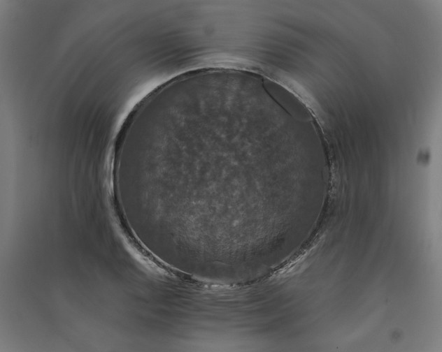 X0000091081128200708201427