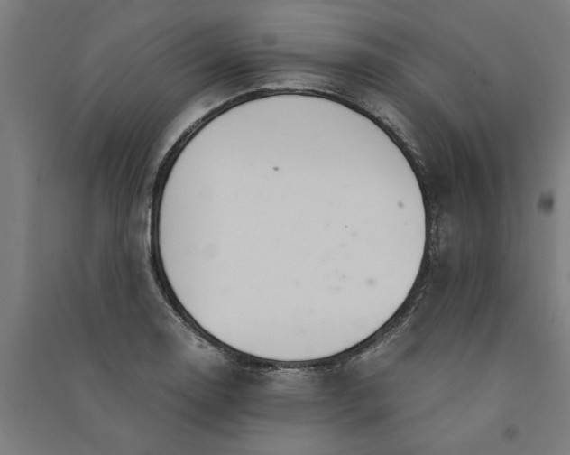 X0000091081130200708201427