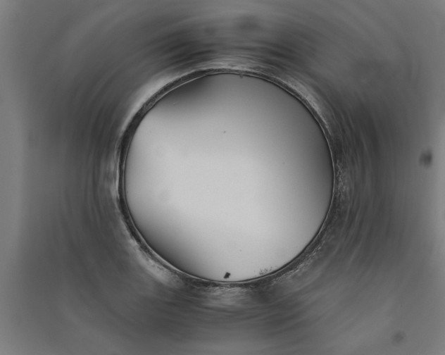 X0000091081131200708201427