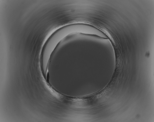 X0000091081132200708201427