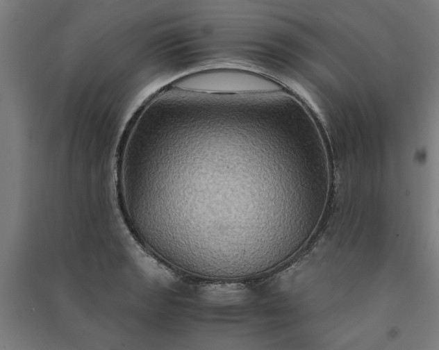 X0000091081133200708201427