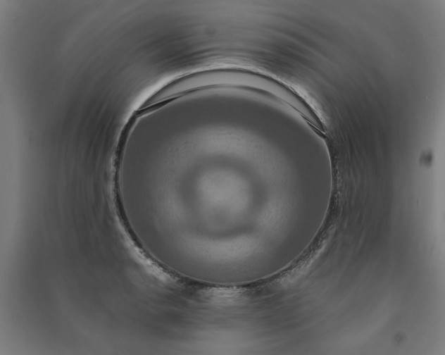 X0000091081134200708201427