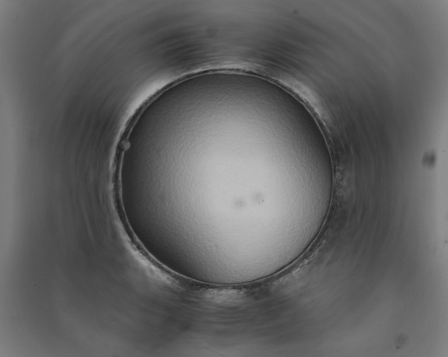 X0000091081135200708201427