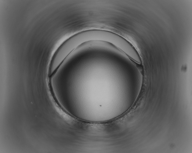 X0000091081136200708201427