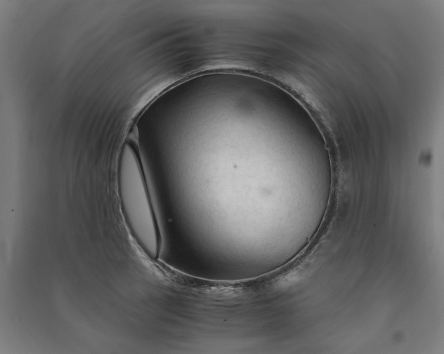 X0000091081137200708201427