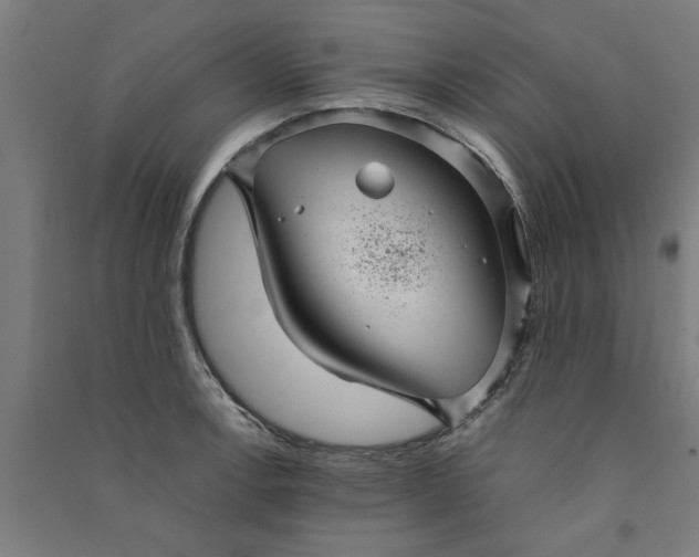 X0000091081138200708201427