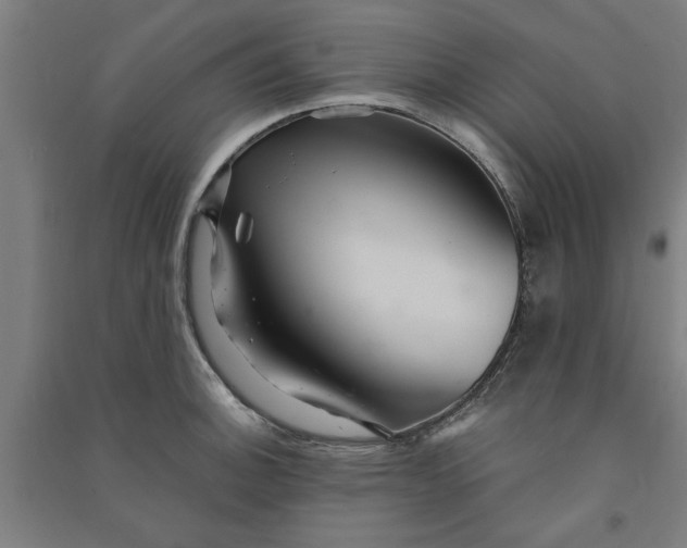 X0000091081140200708201427