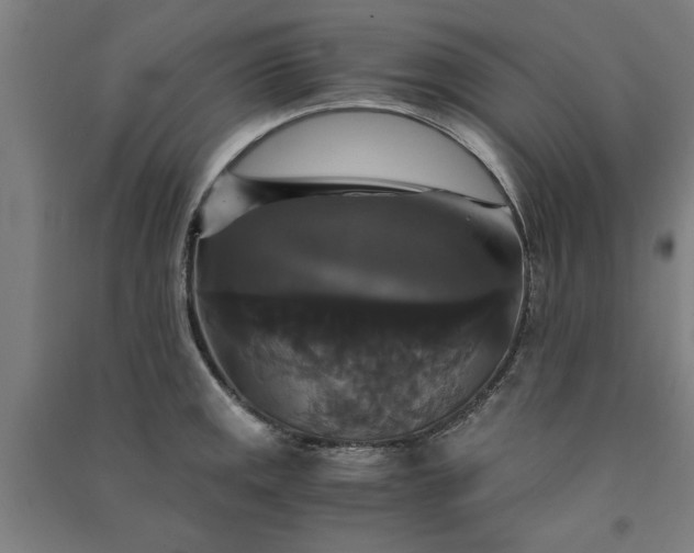 X0000091081141200708201427