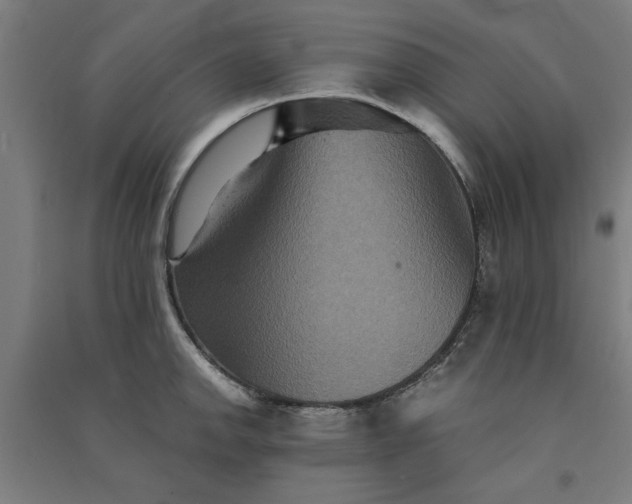 X0000091081142200708201427