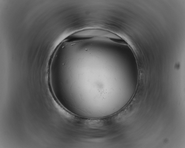 X0000091081143200708201427