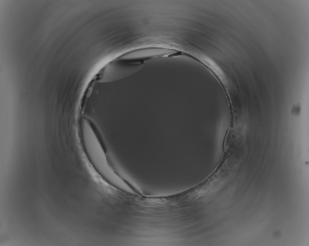 X0000091081144200708201427