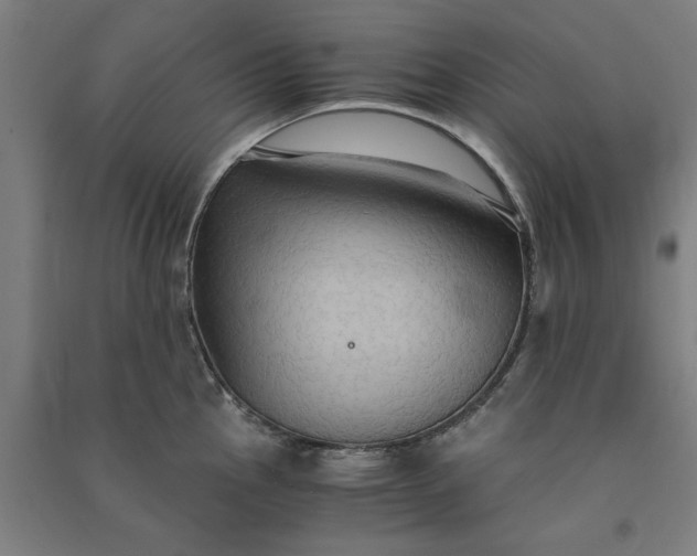 X0000091081145200708201427