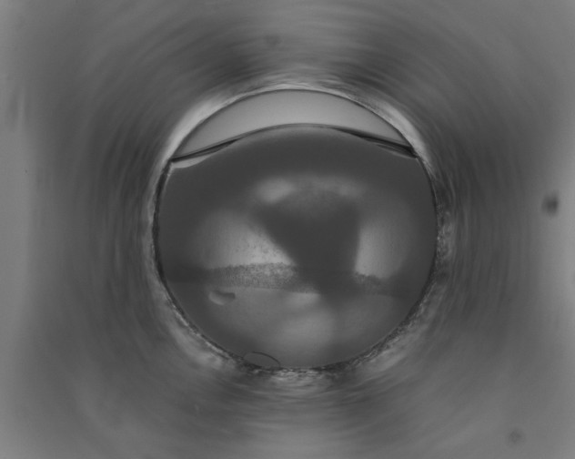 X0000091081146200708201427