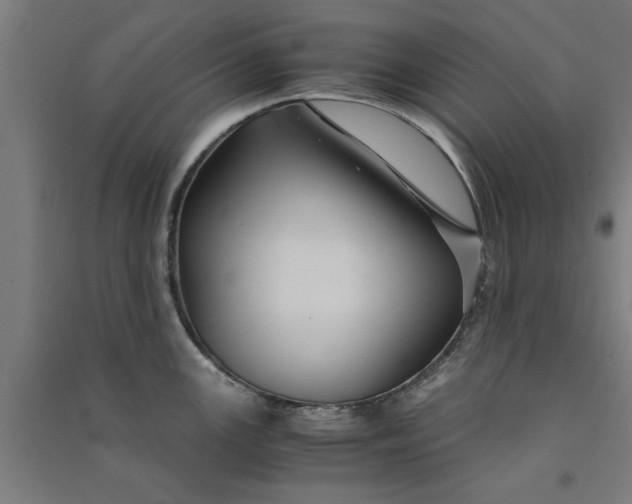 X0000091081147200708201427